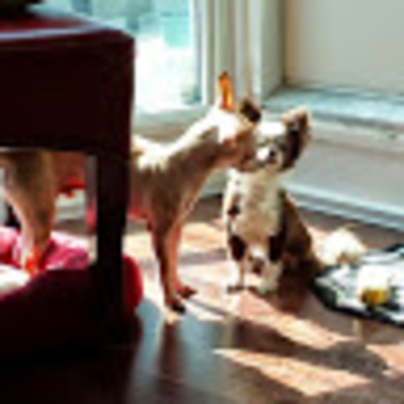 Meet your Posher, Jenn - Picture 1 of 1